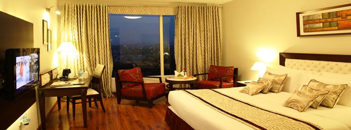 1678/Treehouse Queens Pearl - Gurugram 06.jpg